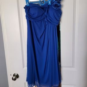 Blue formal/bridesmaid/homecoming dress